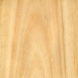 Placa em aglomerado revestido a folha de eucalipto, C.2750 x L.1830 x E.12 mm