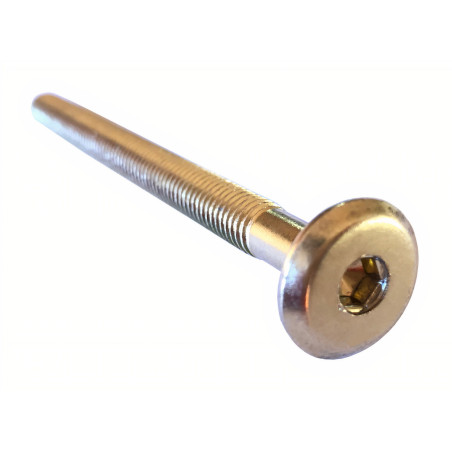 Parafuso de ligação com sextavado interior, latonado, cabeça hexagonal SW4 Ø.15 x E.2,5, M6 x 90 mm