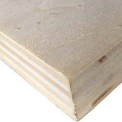 Placa em contraplacado WBP-G de choupo cru, C.2520 x L.1850 x E.15 mm