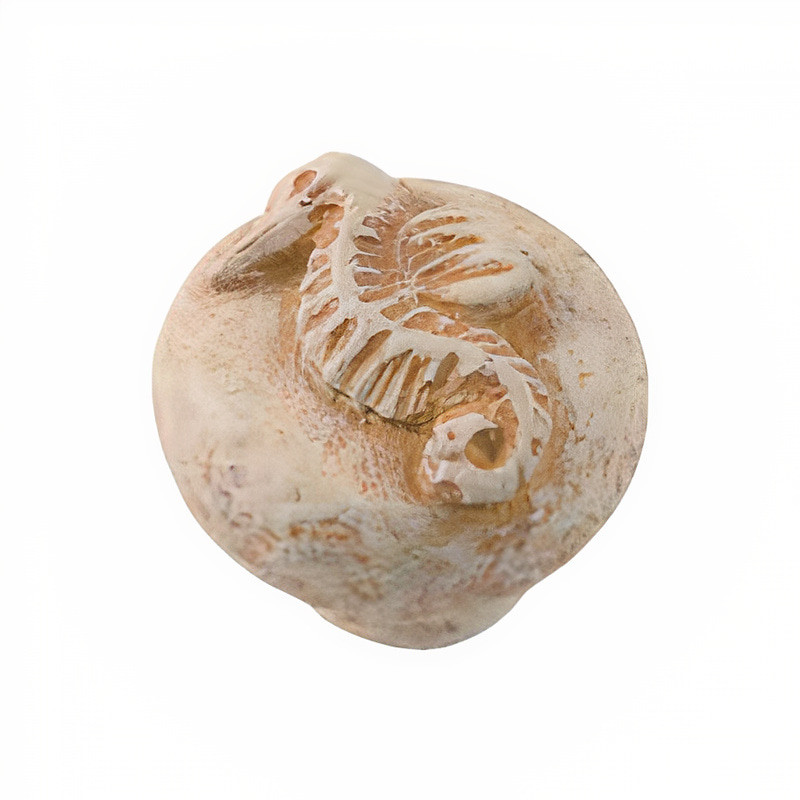 Puxador natureza, bola cavalo marinho Nesu 753MF, resina de pedra creme, 1 furo, Ø.35 mm