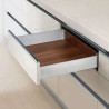 Lateral de gaveta com amortecedor DTC O44, silenciosa, extração total, suporta 40 kg, cinza, A.83 x C.500 mm