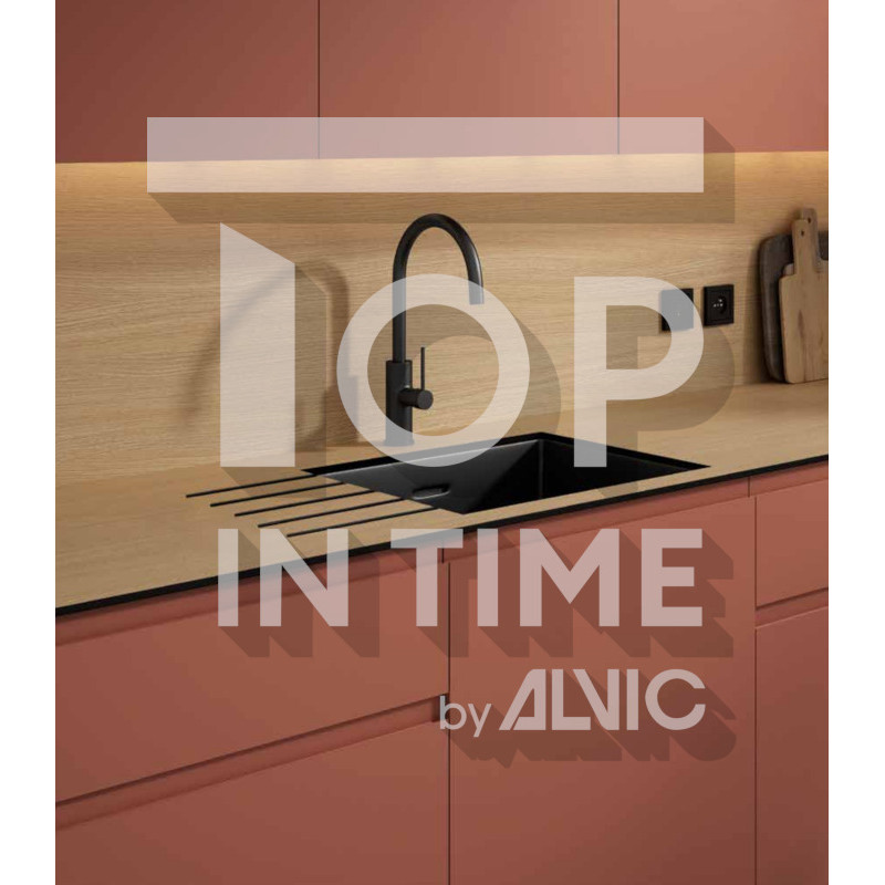 Tampo ALVIC (mesa, WC, porta, prateleira, divisão) Top in Time, compacto 10 mm, aglomerado hidrófugo revestido a HPL 38 mm