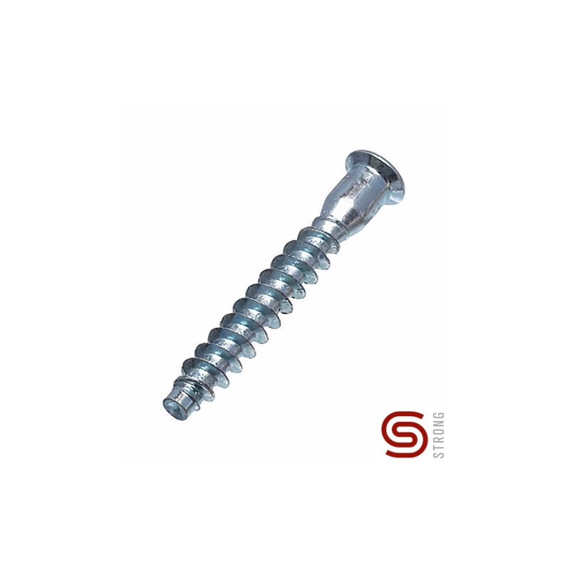 Parafuso montagem direta sextavado interior STRONG StrongFix, zincado branco, HEX.3, Ø.5 x C.50 mm
